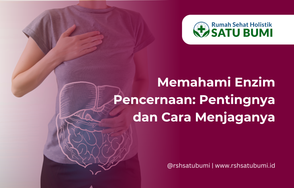 Memahami Enzim Pencernaan: Pentingnya dan Cara Menjaganya - Rumah Sehat ...